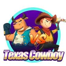 Texas Cowboy