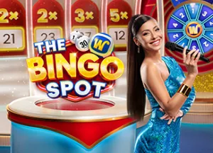 The Bingo Spot