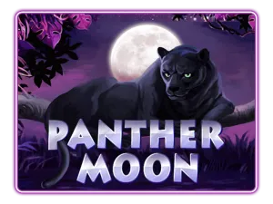 Panther Moon